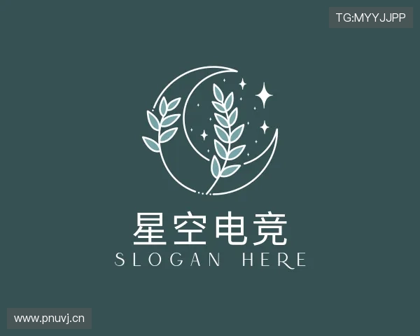 介绍星空电竞官网